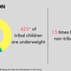 Image for article titled The tribal community accounts for 50% of malaria-related deaths in India
